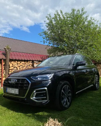 zgorzelec Audi Q5 cena 169000 przebieg: 51900, rok produkcji 2021 z Zgorzelec